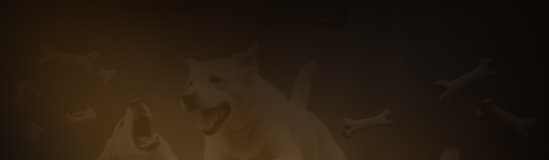 dogs banner bg